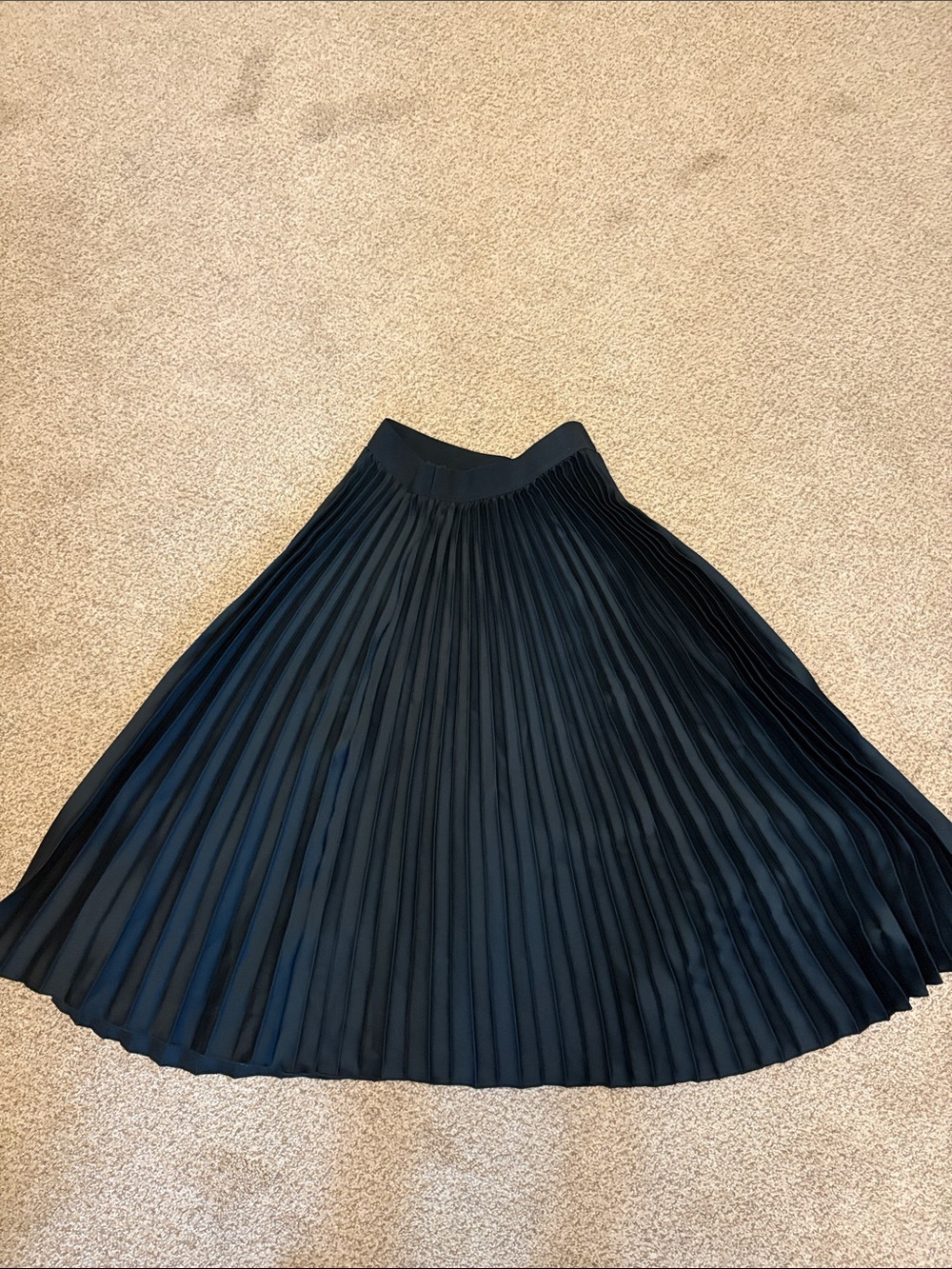 H&M deep Teal Pleated Midi Skirt